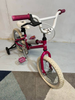 16 inch Haro Z Series Z16 Single Speed w/ Training Wheels Pink