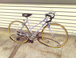 Schwinn Sprint  19'' Frame