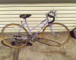 Schwinn Sprint  19'' Frame