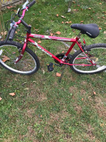 Magna Glacier Point  24'' bike
