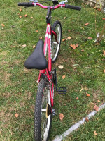 Magna Glacier Point  24'' bike