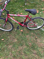 Magna Glacier Point  24'' bike