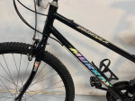 Murray Step Thru 26 in Mountain Bike Black