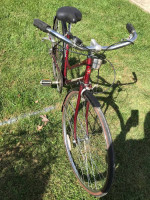 Schwinn Breeze vintage woman's bike