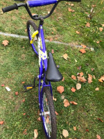Huffy  20'' up Roar bike