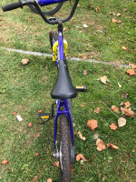 Huffy  20'' up Roar bike