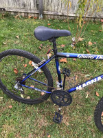Magna Glacier Point bike