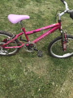 MAGNA great divide 20''bicycle