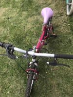 MAGNA great divide 20''bicycle