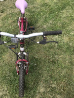 MAGNA great divide 20''bicycle