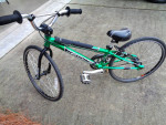 20" Redline Proline Mini BMX Bicycle - Green
