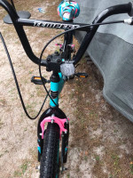Kent Tempest Pro 20 inch children’s bicycle