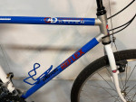 Reflex Easton Aluminum Men's 26 inch Mountain Bike Blue