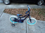 Girls 16" Bike