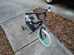 Girls 16" Bike