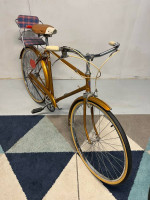 Vintage Dunelt Men's 3 Speed Cruiser Bike Gold
