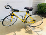 Vintage Schwinn Caliente