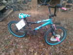 kent kids bike