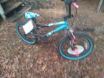 kent kids bike