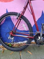 21.5"Mongoose Sycamore mtb 18-spd