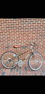 Vintage 54cm Ladies/Stepthru/Mixte Raleigh 12-spd road cruiser