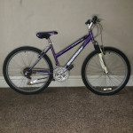 Roadmaster MT Sport SX 18 Speed Mountain Bike Fresh Tune Up