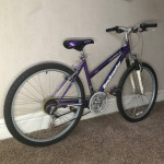 Roadmaster MT Sport SX 18 Speed Mountain Bike Fresh Tune Up