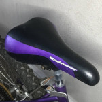 Roadmaster MT Sport SX 18 Speed Mountain Bike Fresh Tune Up