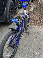 Trek Jet20 kid’s bike with 20” tires