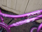 20" Girls BMX Freestyle Bike, good condition