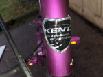 20" Girls BMX Freestyle Bike, good condition