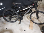 Specialized