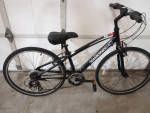diamondback