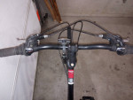 diamondback