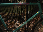 SCHWINN BIKE