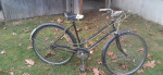 Phillips by Raleigh Cruiser bicycle
