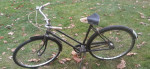 Phillips by Raleigh Cruiser bicycle