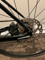 Trek Domane SL4 Disc 50cm