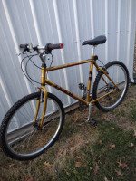 Trek Snap On Anniversary Edition Bicycle