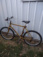 Trek Snap On Anniversary Edition Bicycle