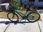 JAMIS BOSS Cruiser