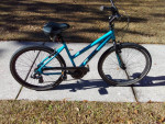 JAMIS BOSS Cruiser