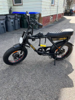 ariel rider e bike d class