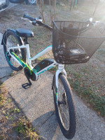 EZIP 48v electric bike