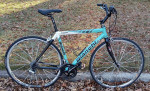 Bianchi Rise Bar Road Bike