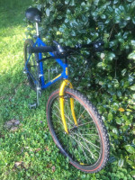 Vintage Wicked Fat Chance mountain bike