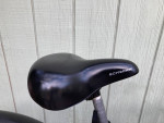Beach Cruiser by Giant 26 inch Custom Flame Firebird