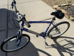 Diamond Back XL Frame bike