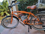 Motorized 26" Kaluna Moon Dog