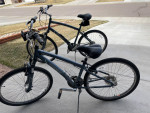 2 Trek Cruiser Bikes